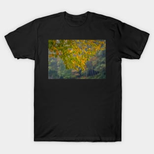 Colorful Leaves at Vogel State Park T-Shirt